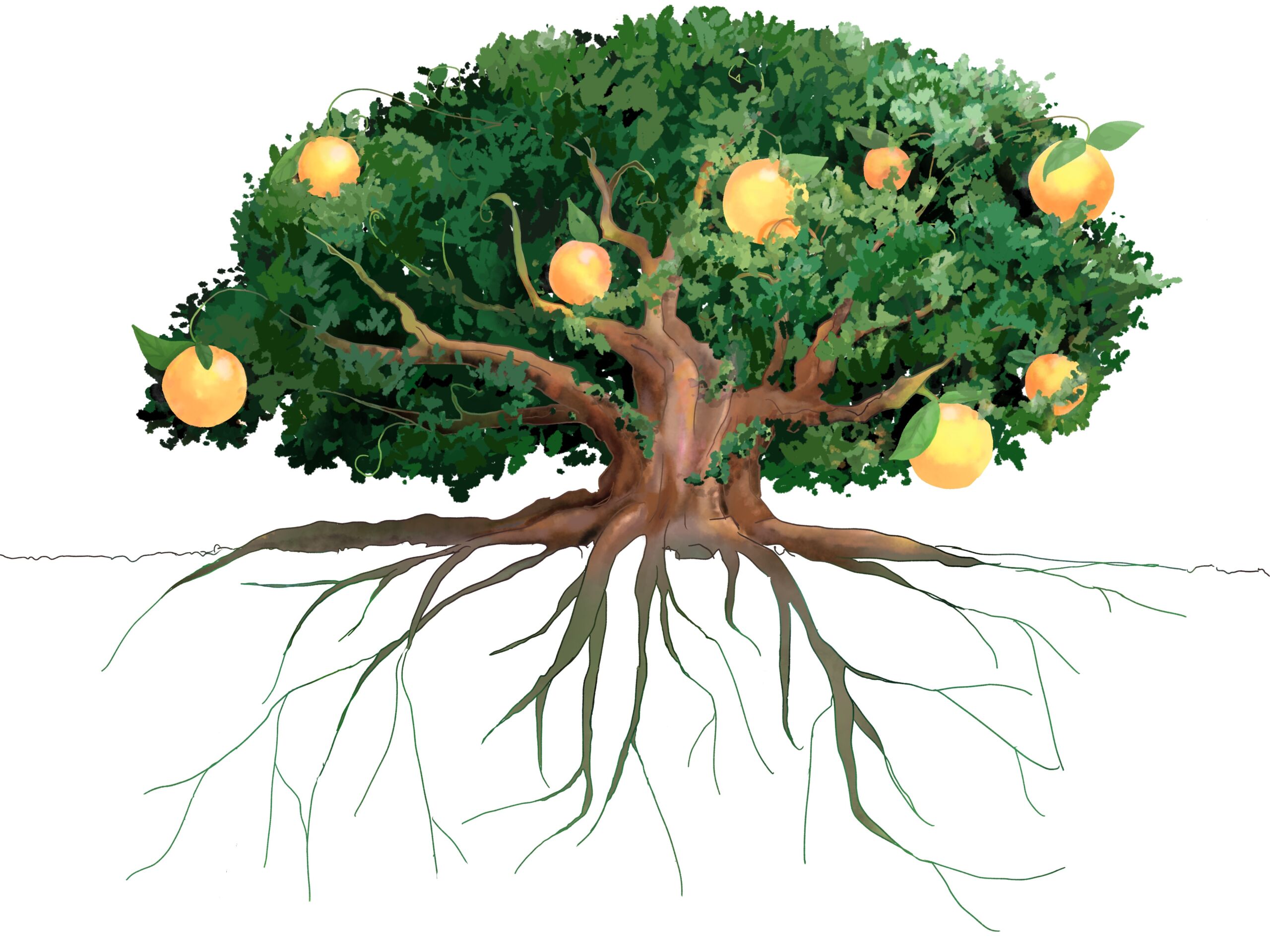 “Take root below and bear fruit above”